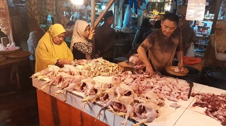 Harga Daging Ayam di Pasar Badak Pandeglang Fluktuatif