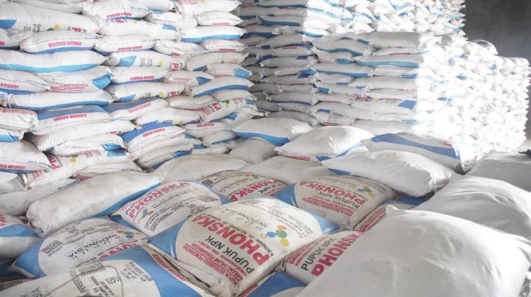 Pemkab Lebak Pastikan Stok Pupuk Cukup Hingga Akhir Tahun