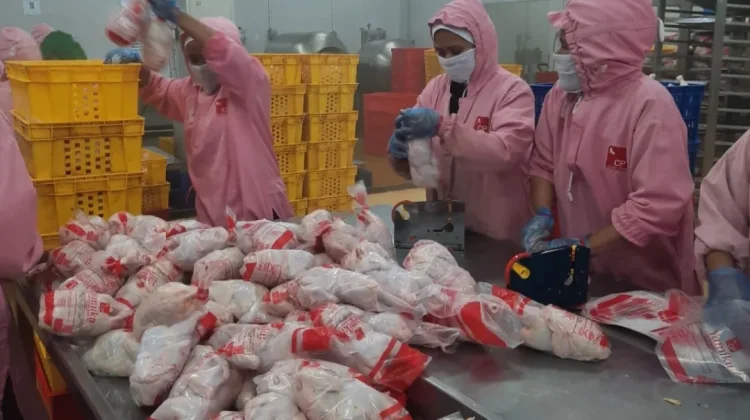 Pengawasan NKV Pastikan Keamanan Pangan Unggas Lebak