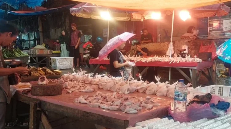 Pasca-Lebaran, Harga Ayam Potong di Lebak Masih Tinggi