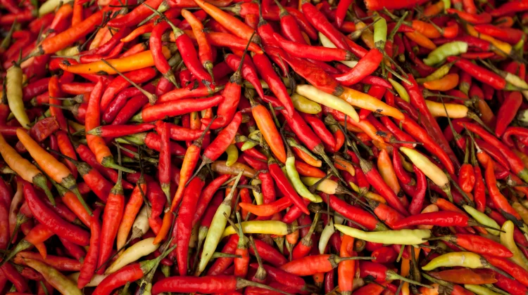 Harga Cabai Rawit Merah di Cilegon Masih Tinggi