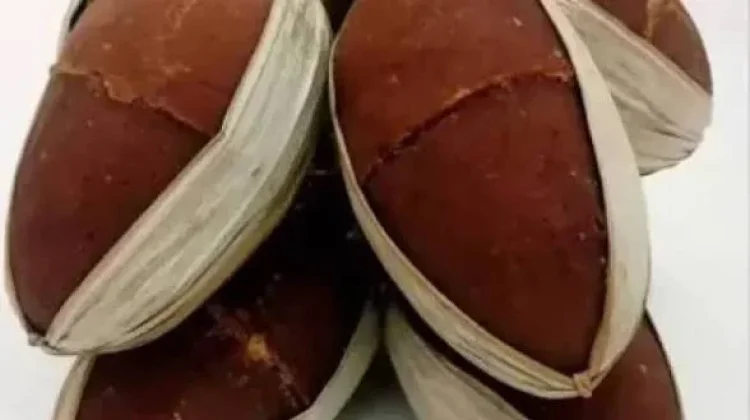 Gula Aren Lebak Jadi Andalan Ekonomi Daerah
