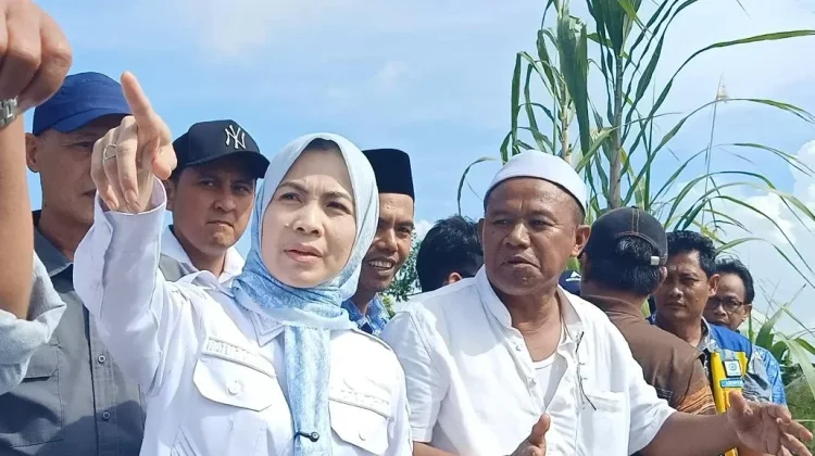 Bupati Serang Tinjau Irigasi Tirtayasa dan Serap Aspirasi