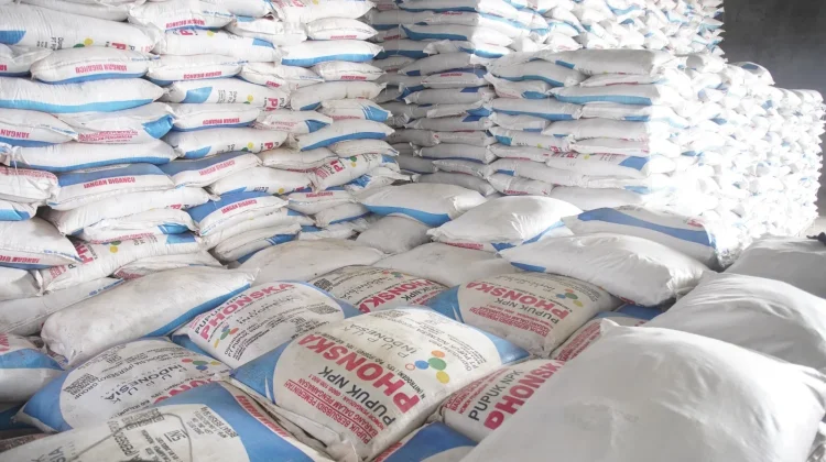 Stok Pupuk Subsidi Lebak Dipastikan Melimpah
