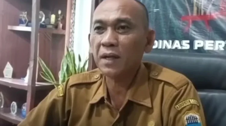 Peningkatan Produktivitas Padi Lebak Melalui Penyuluhan Intensif