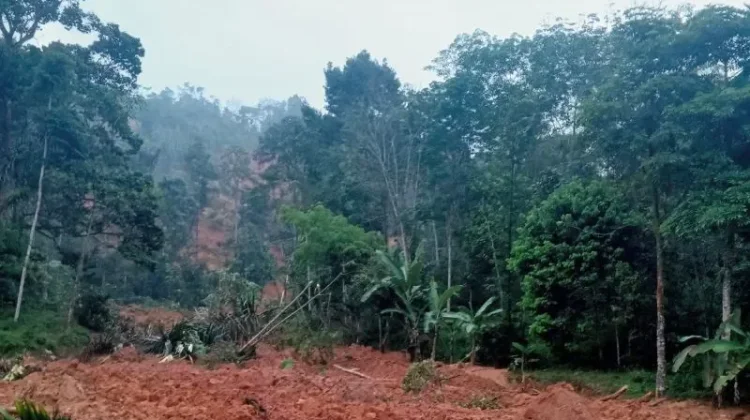 Longsor di Lebak Rusak Sawah dan Kebun Warga