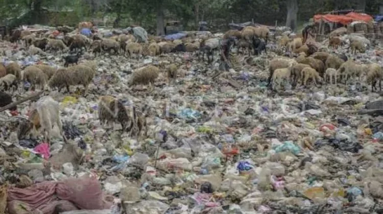 Pemkab Lebak Bakal Olah Sampah Jadi Bahan Bakar Alternatif