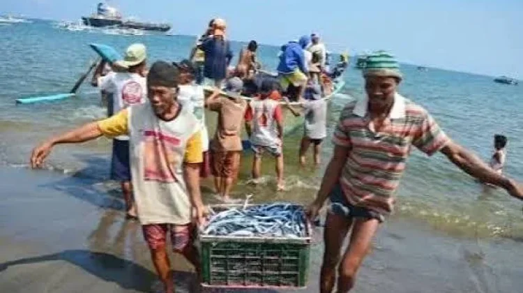 Dampak Degradasi Pesisir Turunkan Populasi Ikan Tangkap