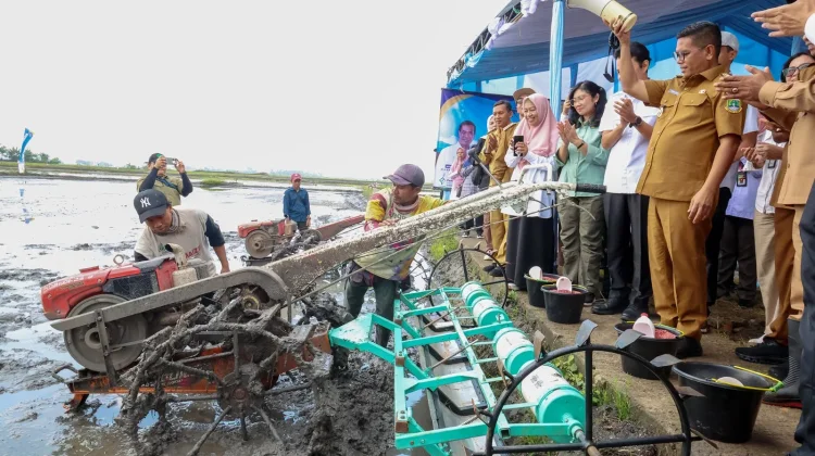 Provinsi Banten Tembus 8 Besar Lumbung Beras Nasional