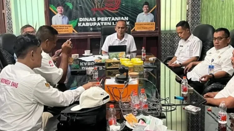 Sinergi Pertanian di Lebak Dorong Kesejahteraan Petani