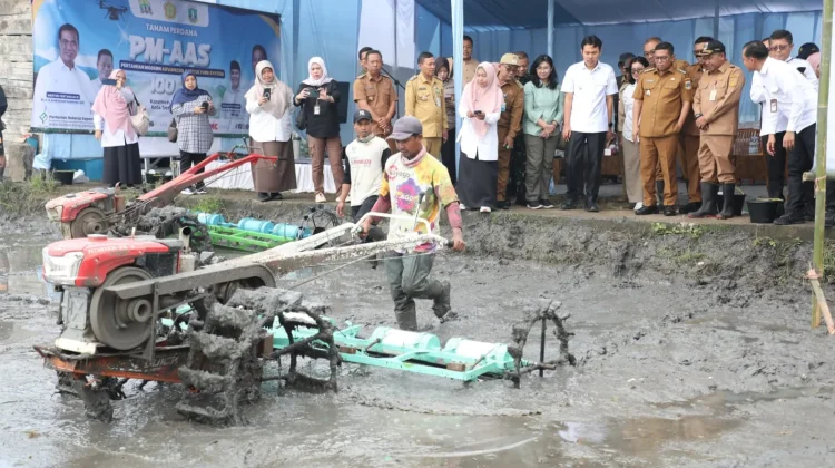 Pemkot Serang Targetkan Produksi 10 Ton Gabah Padi Per Hektare