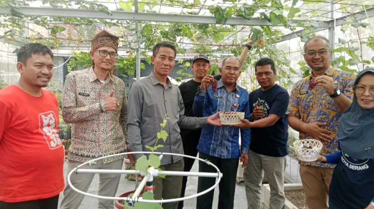 Pemprov dan DPRD Sepakat Dukung Pengembangan Pertanian Anggur