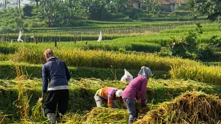 Sensus Ekonomi 2026 Sasar Seluruh Sektor Usaha di Pandeglang