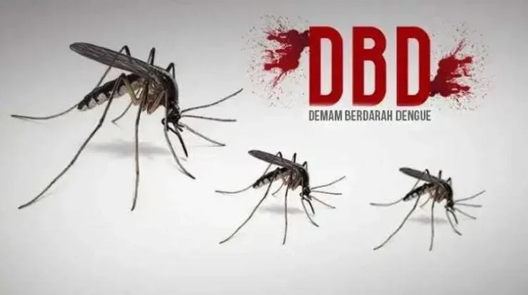 Dinkes Lebak Ajak Warga Cegah Penyebaran DBD