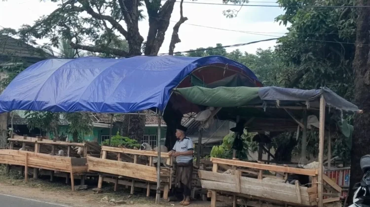 Tren Penurunan Penjualan Domba Kurban di Pandeglang