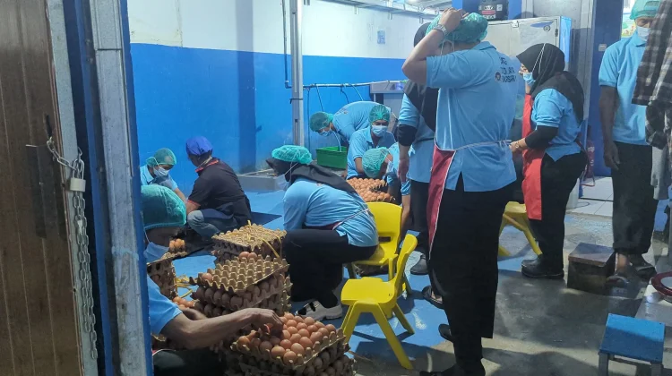 Cakupan MBG di Kota Serang Capai 82 Persen