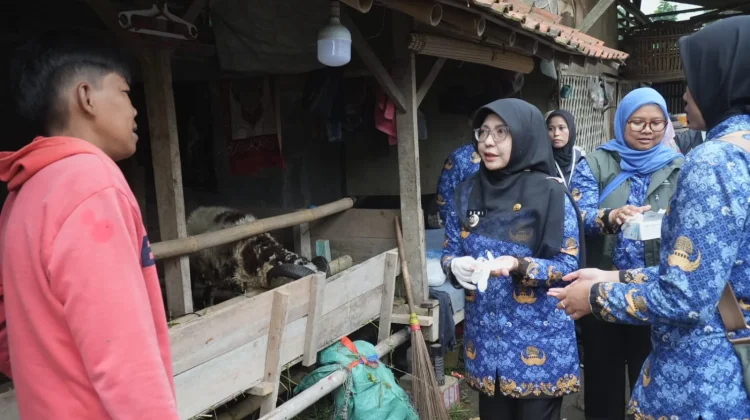 Bupati Pandeglang Monitoring Lapak Hewan Kurban
