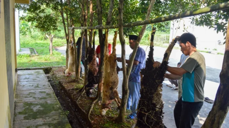 Juru Sembelih Halal Banten Fokuskan Kompetensi Petugas Sesuai Syariat