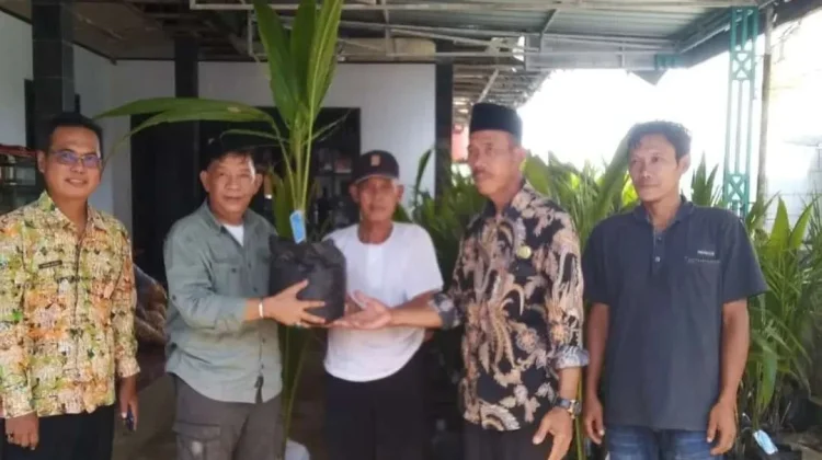 Kementan Salurkan Benih Kelapa Unggul untuk Lebak