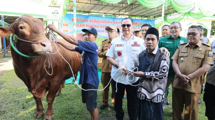 Bantuan Kurban Presiden dan Wali Kota Serang Menjangkau Dua Kecamatan