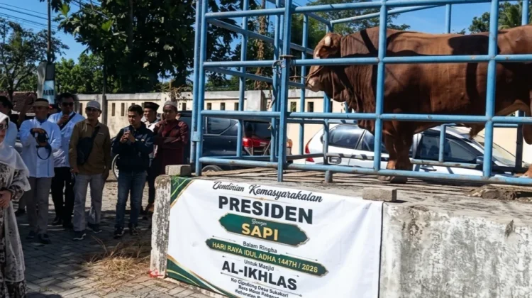 Warga Cigadung Terima Sapi Kurban Bantuan Presiden Prabowo