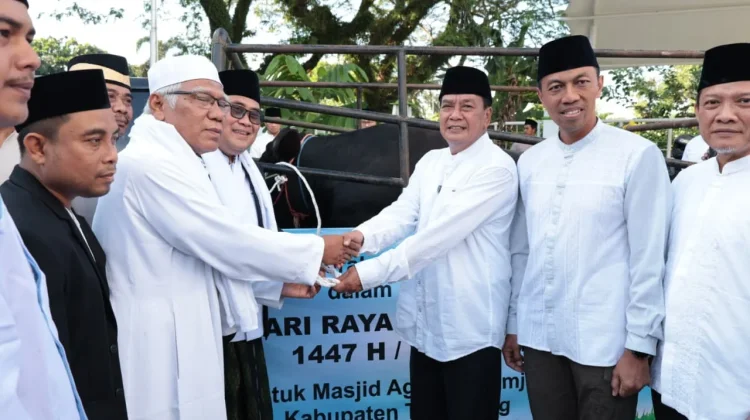 Bupati Tangerang Serahkan Sapi Kurban Bantuan Presiden