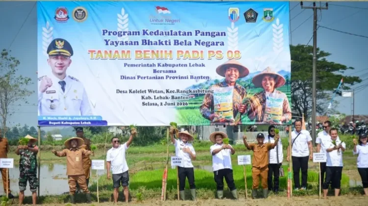 Gerakan Tanam Benih Padi PS 08 Perkuat Ketahanan Pangan di Lebak