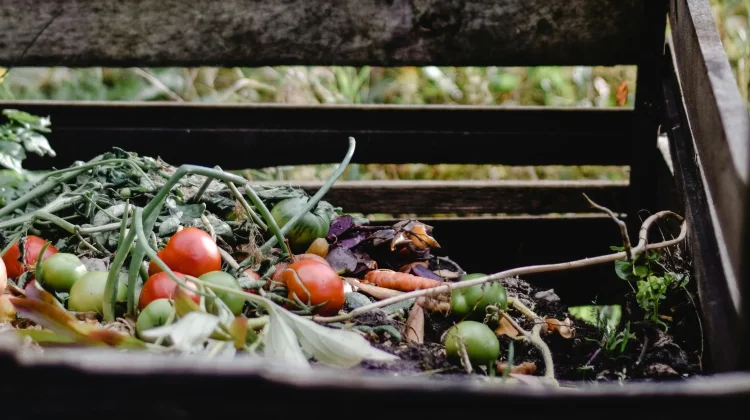 Ternyata, Sampah Organik Bisa Jadi Ancaman Lingkungan