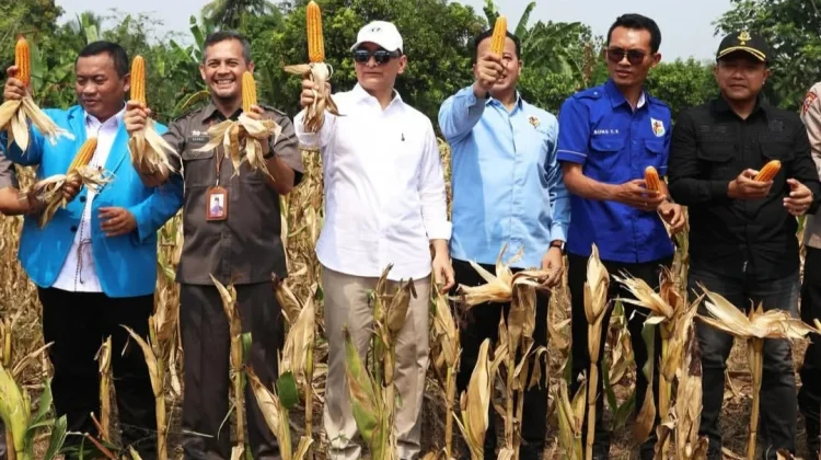 KNPI Lebak Perkuat Ketahanan Pangan Melalui Pertanian
