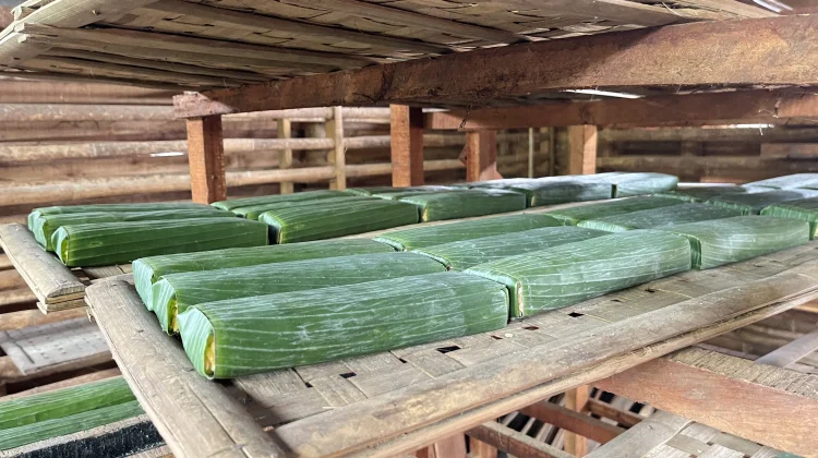Harga Kedelai Impor Naik, Perajin Tempe Serang Kecilkan Ukuran Produksi
