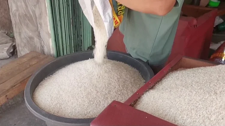 Produksi Beras Lebak Tembus Dua Ratus Ribu Ton