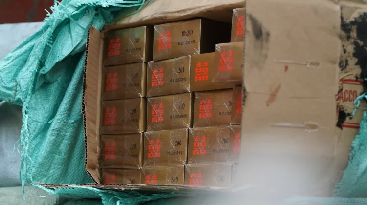 Gagalkan Rokok Ilegal, Bea Cukai Banten Selamatkan Uang Negara Rp7,9 Miliar