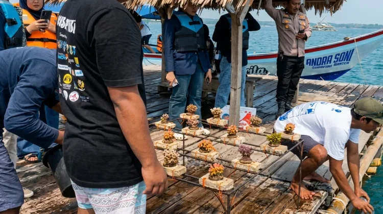 PT Surveyor Indonesia Luncurkan Program Pesisir Budaya Lestari di Carita