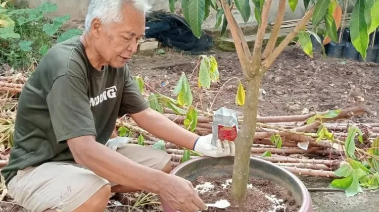 Inovasi Fast Track Ubah Sampah Jadi Pupuk
