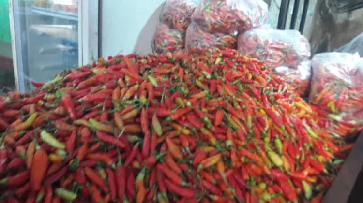 Pasokan Melimpah, Harga Cabai di Pasaran Lebak Turun