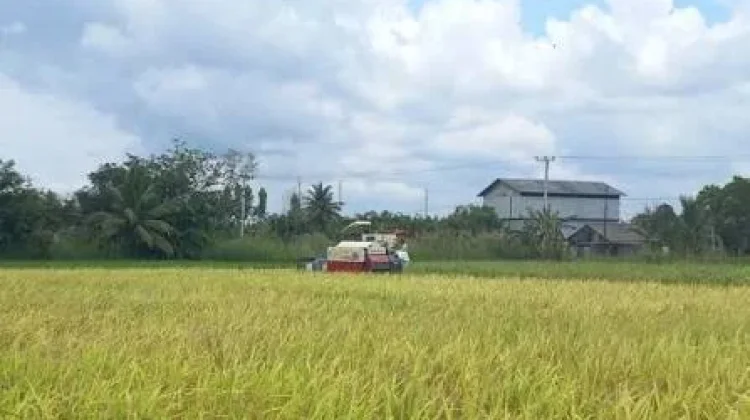 Brigade Pangan Lebak Optimalkan Pertanian Berbasis Teknologi
