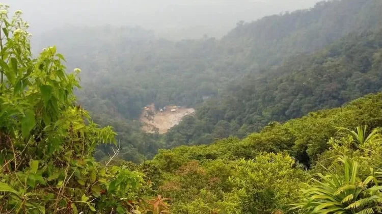 Faktor Ekonomi Jadi Ancaman Kelestarian Hutan Pandeglang