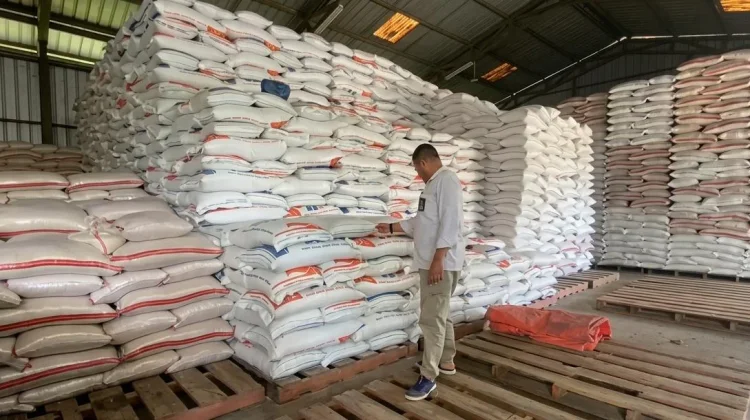 Perum Bulog Kantor Cabang Lebak-Pandeglang Serap Ribuan Ton Gabah