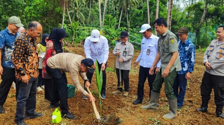 Kementan Alokasikan Ribuan Hektare Pengembangan Kelapa di Banten
