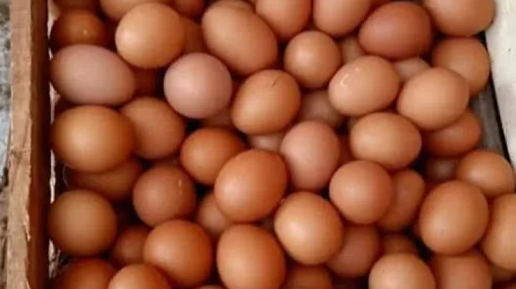 Dua Minggu Terkahir, Harga Telur dan Ayam di Kabupaten Lebak Turun