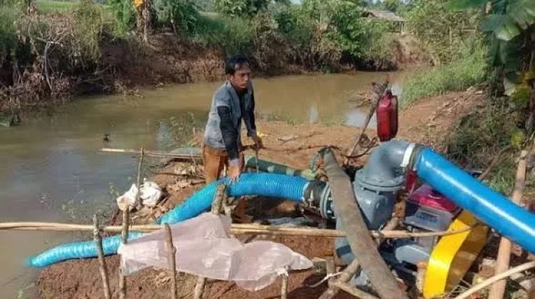 Distan Lebak Salurkan Pompa Air Cegah Kekeringan Sawah Petani
