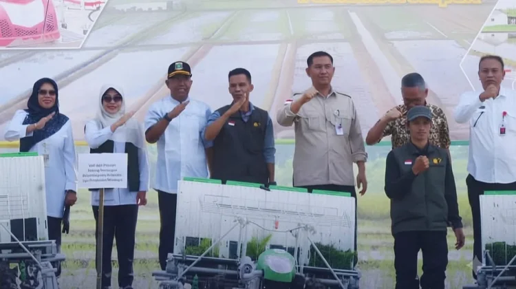 Perkuat Swasembada Pangan, Bupati Pandeglang Pacu Modernisasi Pertanian