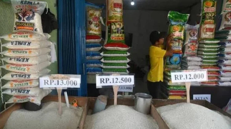 Petani di Lebak Panen, Harga Beras Medium Stabil