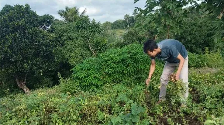 KMP Umbul Tengah Prioritaskan Produk UMKM Lokal