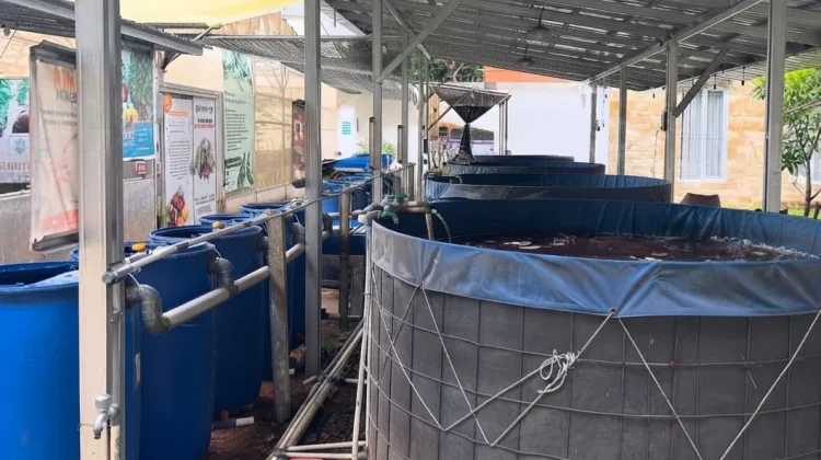 Pandeglang Akselerasi Program Budidaya Ikan Tematik Desa