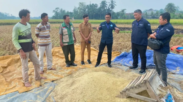 Beroperasi Penuh, Lebak Niaga Perseroda Mampu Produksi 700 Ton Beras