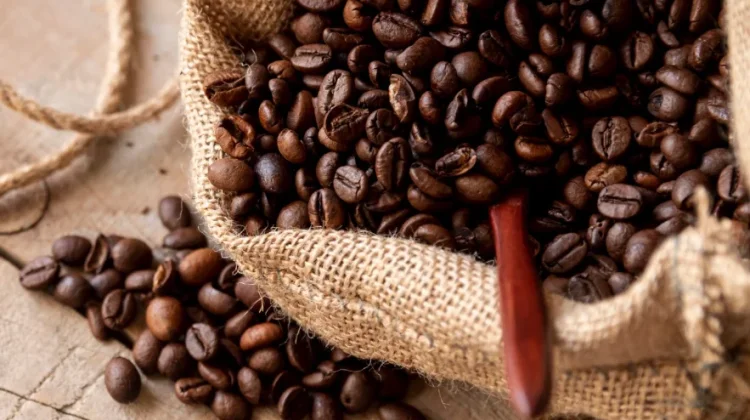 Punya Rasa Unik, Kopi Liberika Jadi Buruan Baru Pencinta Spesialti