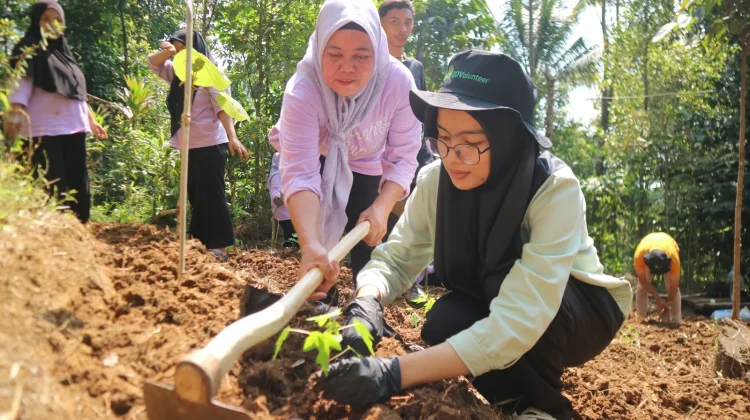 Dukung Ketahanan Pangan, Dompet Dhuafa Tanam Pohon Pangan di Pandeglang