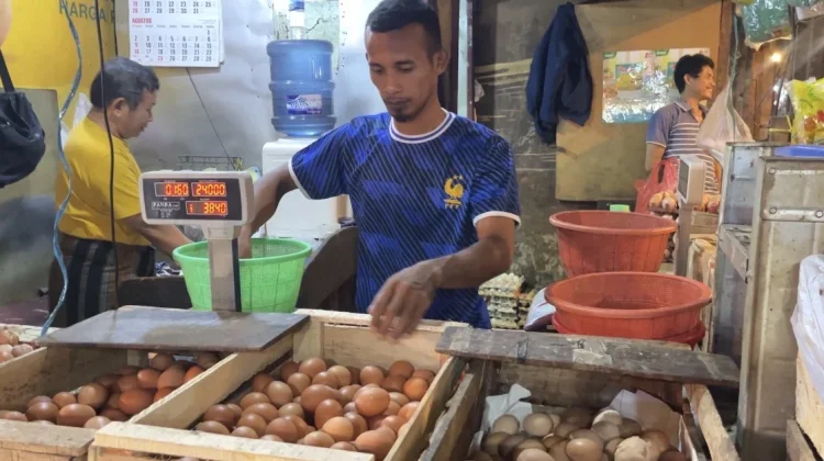 MBG Beroperasi, Pedagang Pasar Rau Prediksi Harga Telur Kembali Naik