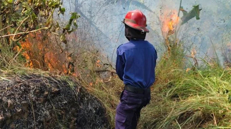Kemarau, DPRD Cilegon Ingatkan Warga Tidak Bakar Sampah Sembarangan